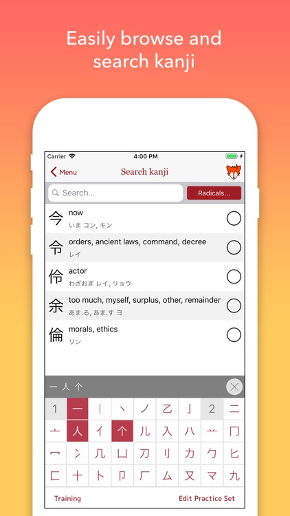 iKanji touch screenshot-3