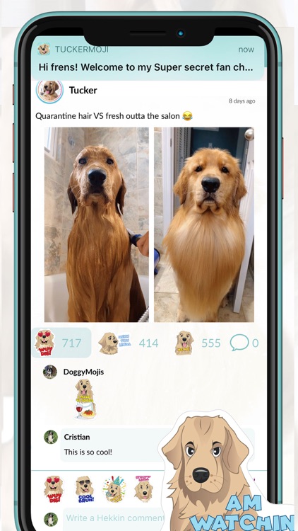 TuckerMoji - Tucker Budzyn Dog screenshot-3