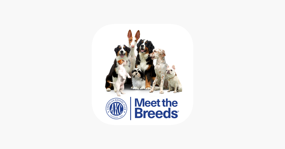 ‎AKC Meet the Breeds on the App Store