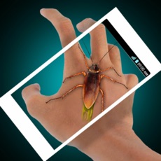 Activities of Cockroach Hand Funny Simulator