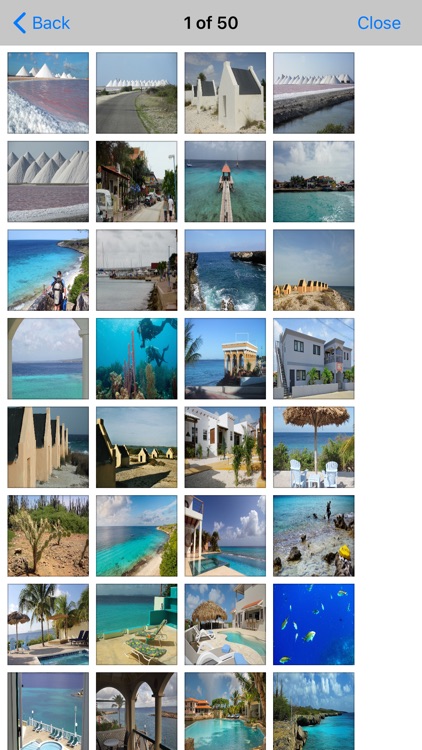 Bonaire Island Tourism - Guide screenshot-5