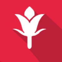 Flora Chimgan PC 용