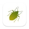 Icon Insecta: Study Insects in AR