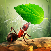 小蚂蚁部落——休闲小游戏