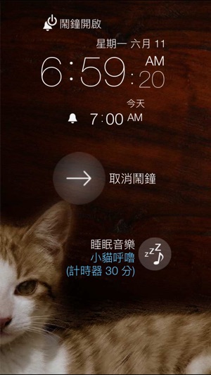 貓咪鬧鐘 :3(圖2)-速報App