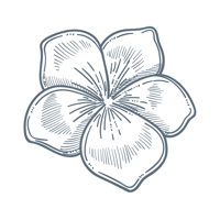 Ballaura Wellness Spa