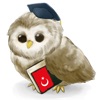 Icon MTL Learn Turkish
