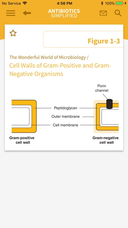 Antibiotics Simplified