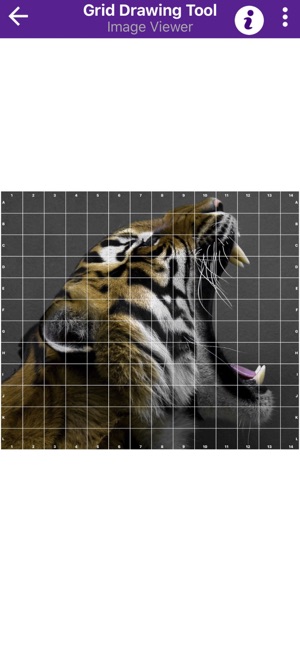 Grid Drawing Tool for Artists(圖6)-速報App