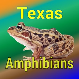 Texas Amphibians