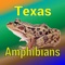 Another app in our Texas Wildlife series