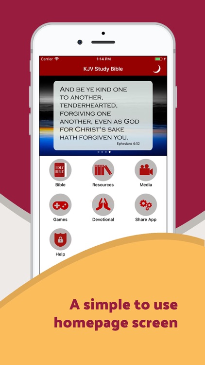 King James Study Bible - Audio screenshot-0
