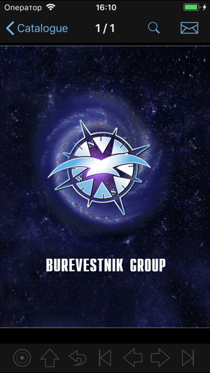 Burevestnik Group