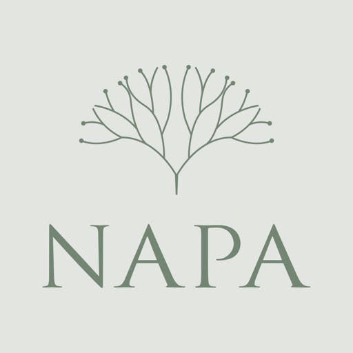 NAPA E-Form icon