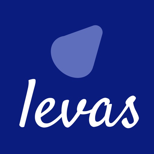 Levas Business