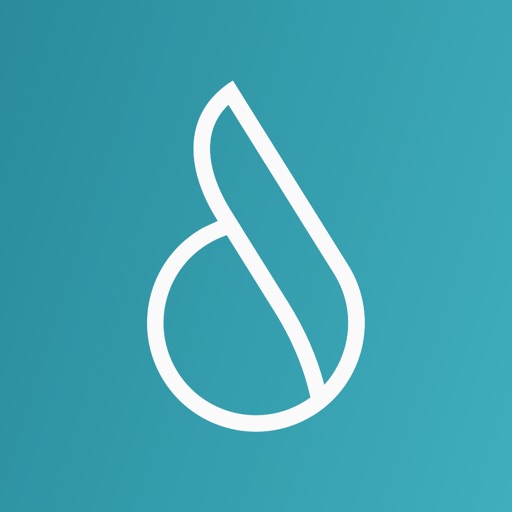 Debby – debt manager