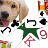 K9 Euchre: Trick Card Game