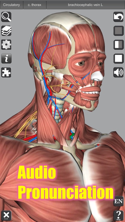 3D Anatomy screenshot-5