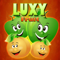 LUXY FRUIT COUPLE