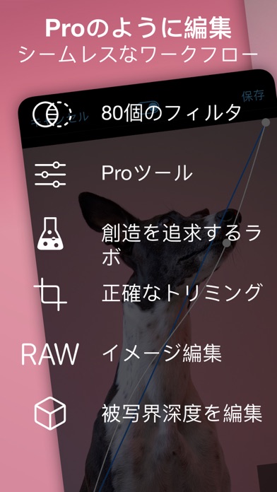 Procamera 高品質の写真撮影のためのプロ用カメラ Iphoneアプリ Applion