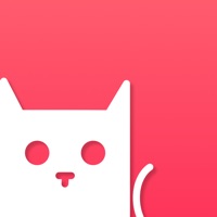 RCKit - RevenueCat Dashboard pour PC