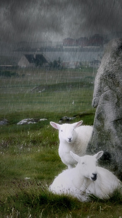 Rainy Daze screenshot-3