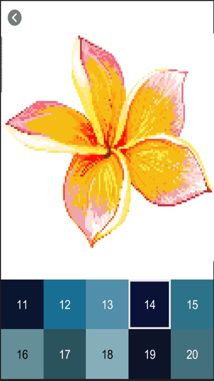 Butterfly & Flower Pixel Color