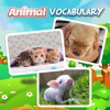 Icon Learn Animal Vocabulary Eng