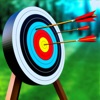 Archery Shooting Master