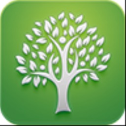 Tree: Christian Social Network
