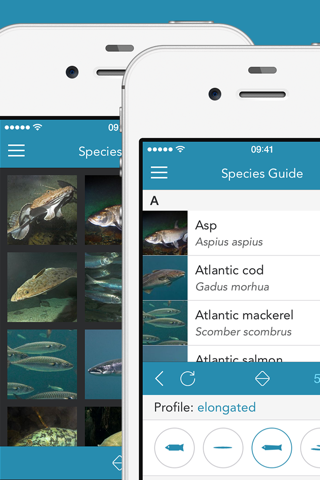 Fishes PRO - Field Guide screenshot 2