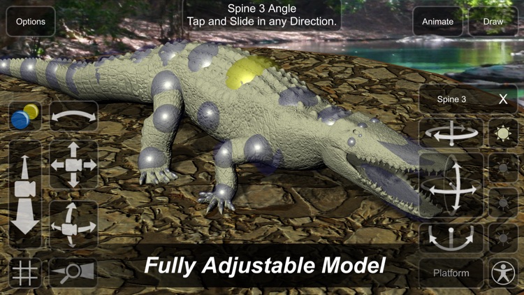 Crocodile Mannequin