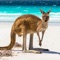 AUSTRALIA’S BEST is the ideal travel guide to this extraordinary country and continent