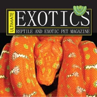 Ultimate Exotics Magazine app funktioniert nicht? Probleme und Störung