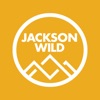 Jackson Wild Collective