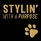 Welcome to the Stylin with a Purpose App