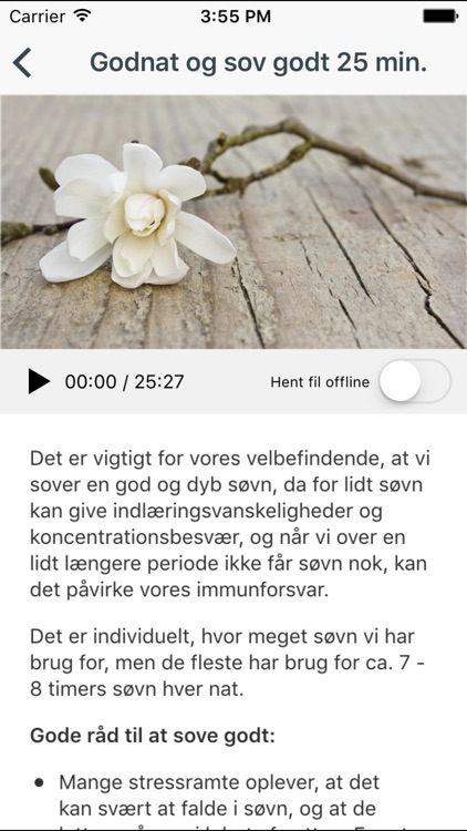 Mindfulness – bevidst nærvær