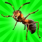 Ant Queen Board game Online