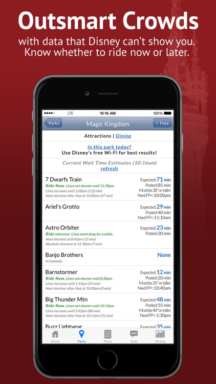 Disney World Lines (TP)
