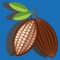 El cacao es una planta que crece bien bajo sombra de otros árboles, pero si se desea producir cacao para la venta, es necesario atender con cuidado el grado de sombra que los árboles acompañantes proporcionan