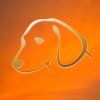 Happy Dog - Music For Dogs pour PC