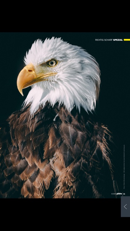DigitalPHOTO | Magazin