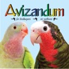 Avizandum