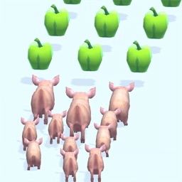 Pig Run 3D