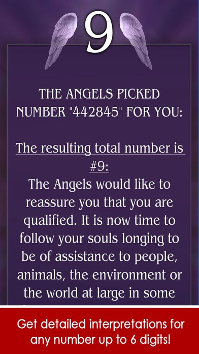 Angel Number Signs screenshot 3