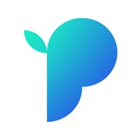 Pangea.app Reviews