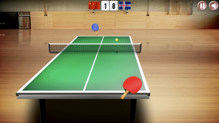 Table Tennis Virtual Ping Pong