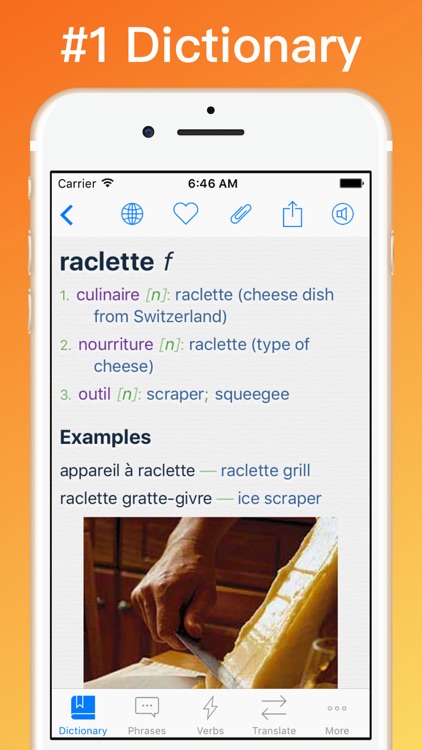 French Translator Dictionary + screenshot-0