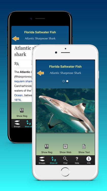 Florida Saltwater Fish screenshot-3