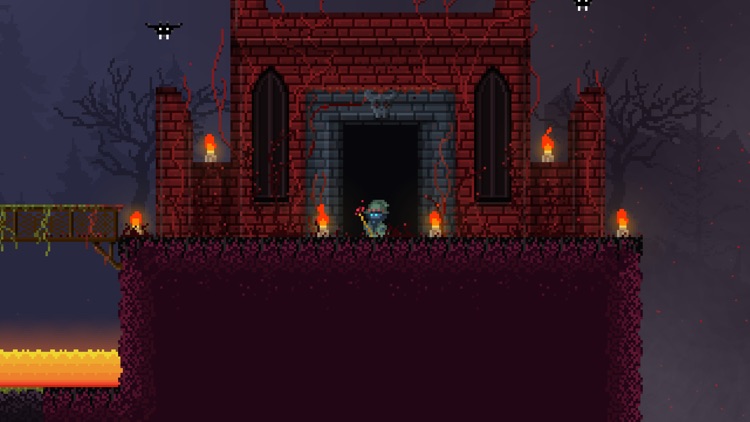 Pixel Wizard: Ultimate Edition screenshot-4